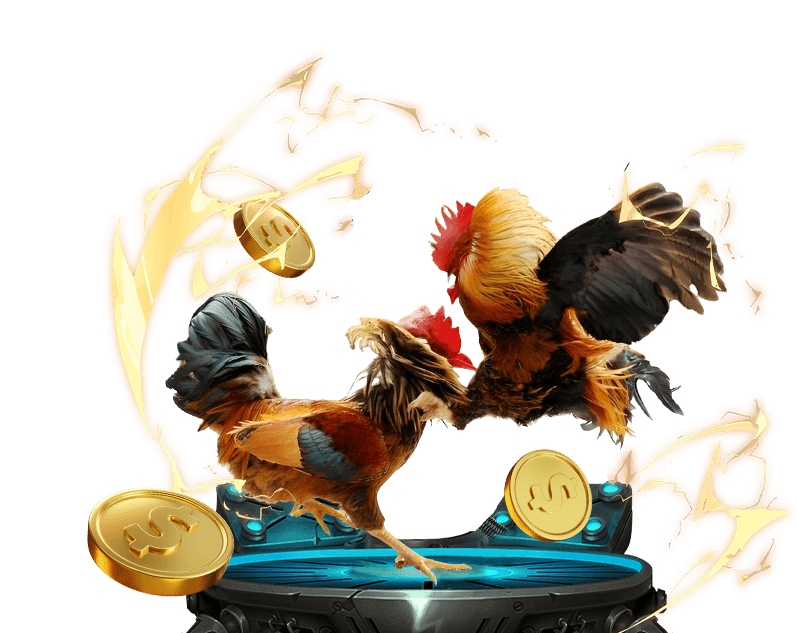 Hoàn trả thể thao hàng tuần tại 777king99.